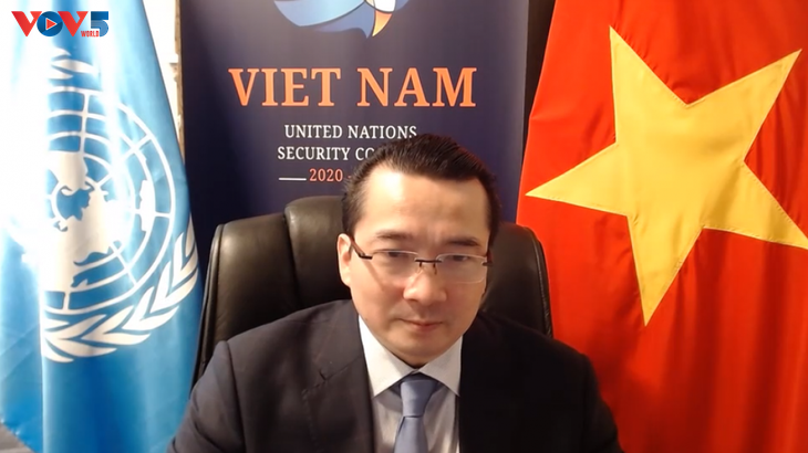 越南主持召开联合国安理会南苏丹问题委员会视频会议 - ảnh 1