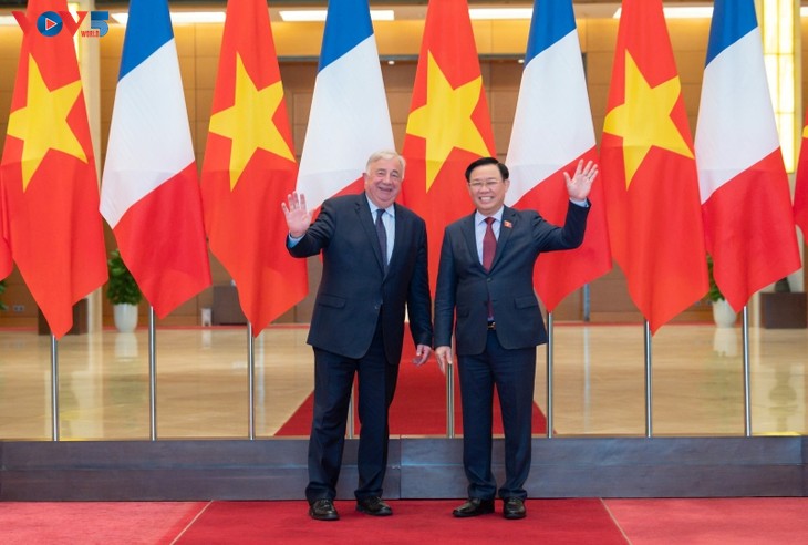 Вьетнам играет важную роль во внешней политике Франции - ảnh 1
