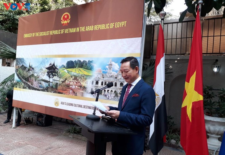 Phát triển quan hệ Việt Nam - Ai Cập qua các hoạt động văn hóa - ảnh 1