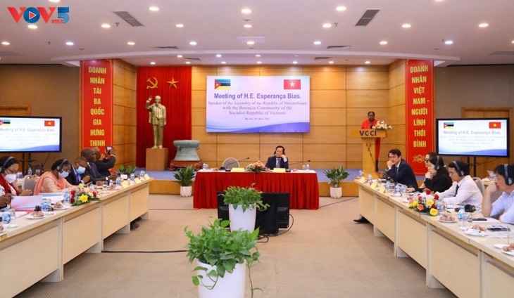 Thúc đẩy hợp tác đầu tư Việt Nam - Mozambique - ảnh 1