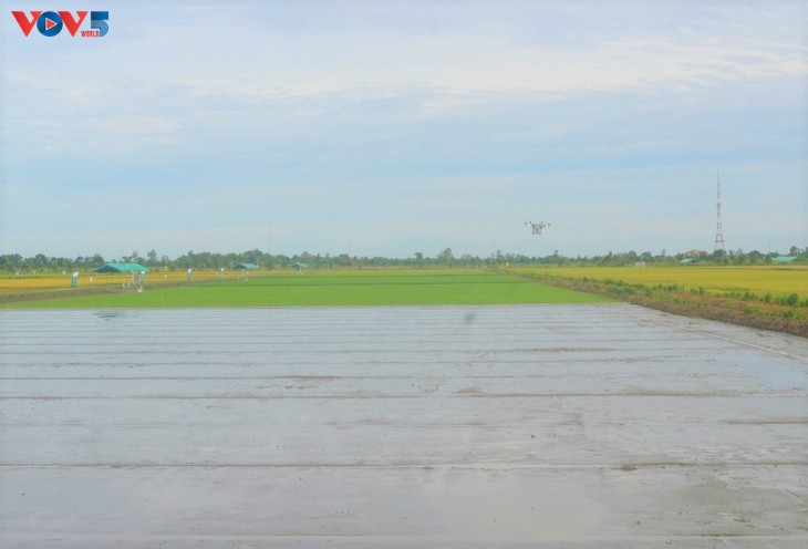 Cơ giới hóa giúp nâng cao giá trị nông sản vùng Đồng bằng Sông Cửu Long - ảnh 1