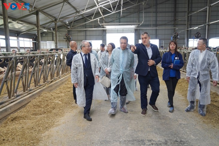 TH Dairy Group expands business in Russia - ảnh 2