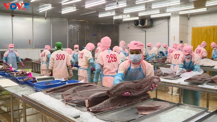 Экспорт вьетнамской рыбной продукции превысил 10 млрд долл. США - ảnh 1