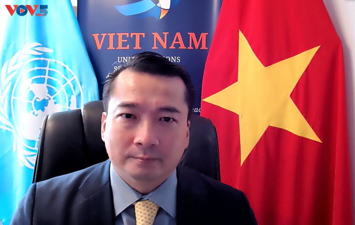 Illegal trade of small guns, light weapons affects int’l peace, security: Vietnamese ambassador - ảnh 1