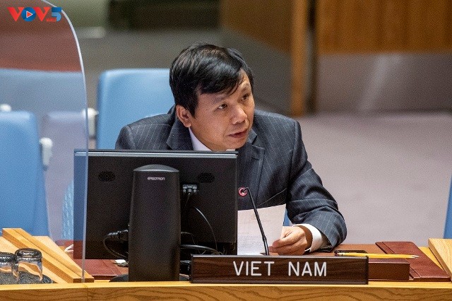Việt Nam kêu gọi cách tiếp cận toàn diện trong giải quyết các thách thức tại Mali - ảnh 1