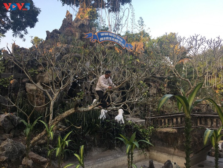 Không khí Giáng sinh tràn ngập tại nhà thờ đá Phát Diệm - ảnh 10