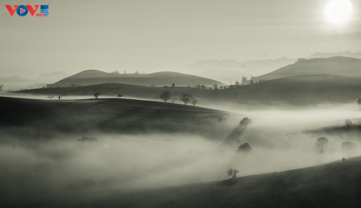 Bình minh sương, cõi mộng trên thảo nguyên Mộc Châu - ảnh 17