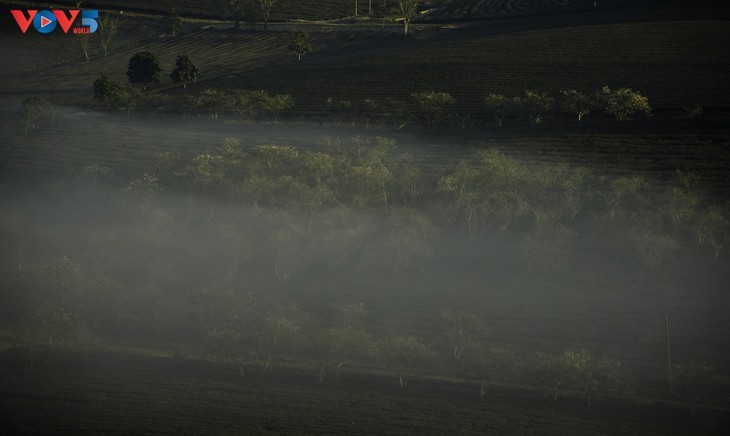 Bình minh sương, cõi mộng trên thảo nguyên Mộc Châu - ảnh 19