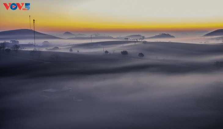 Bình minh sương, cõi mộng trên thảo nguyên Mộc Châu - ảnh 4