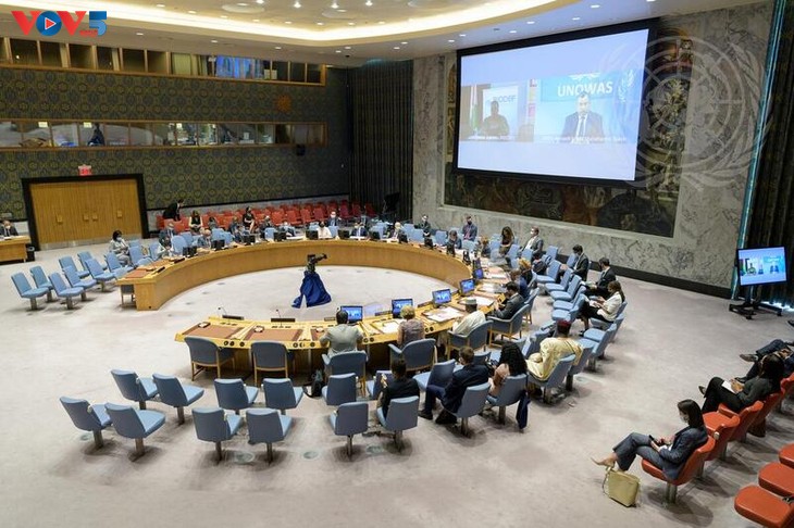 Vietnam urges settlement of security, humanitarian issues in West Africa, Sahel - ảnh 1