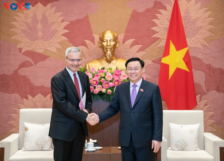 Спикер парламента Выонг Динь Хюэ принял посла Франции во Вьетнаме - ảnh 1