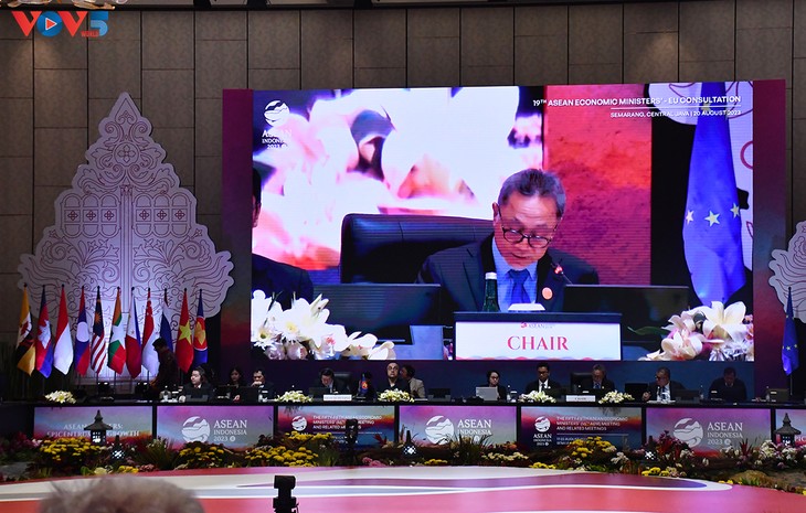 Hội nghị tham vấn cấp Bộ trưởng Kinh tế ASEAN và các đối tác - ảnh 2