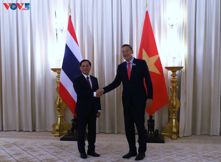 Bộ trưởng Ngoại giao Bùi Thanh Sơn đến chào Thủ tướng Thái Lan, tiếp kiến Công chúa Thái Lan - ảnh 1