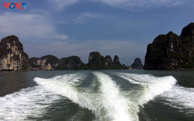 Việt Nam -  thị trường đầy tiềm năng trong lĩnh vực du thuyền - ảnh 3