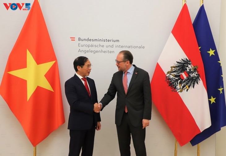 Đưa quan hệ Việt Nam – Áo ngày càng đi vào chiều sâu, thực chất và hiệu quả - ảnh 1