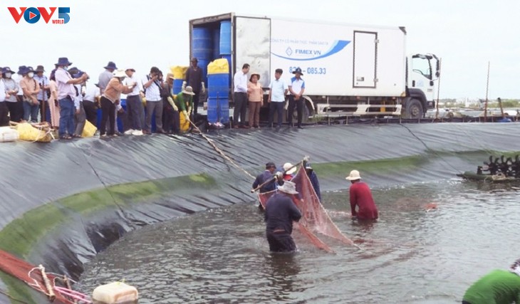 Tìm giải pháp để thủy sản Việt Nam vươn lên tốp đầu thế giới - ảnh 2