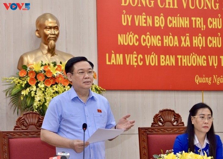 Quang Ngai soll sich zu einem Entwicklungszentrum in Zentralvietnam entwickeln - ảnh 1