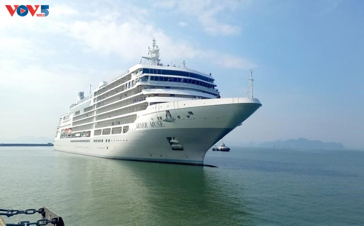 Cruise ships carry 1,200 foreign tourists to Quang Ninh - ảnh 1