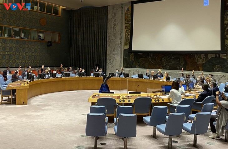 Weltsicherheitsrat verabschiedet zwei Resolutionen über Lage in Sudan und Libyen - ảnh 1