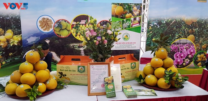 Hanói lidera el país en la construcción de cadenas de valor de productos agrícolas - ảnh 2