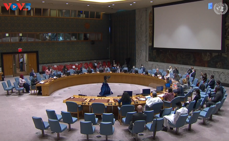 Совбез ООН провел заседание по ситуации в Судане, Мали и Сомали, а также на Голанских высотах - ảnh 1