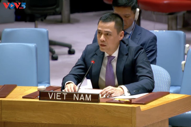 Việt Nam khẳng định hoà bình là điều kiện tiên quyết để phát triển - ảnh 1