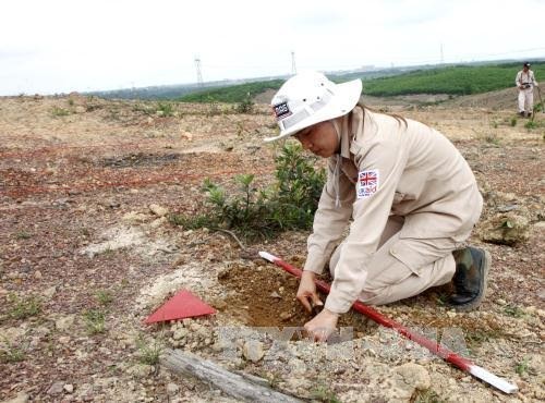 Vietnam in need of international support for bomb, mine clearance, Society