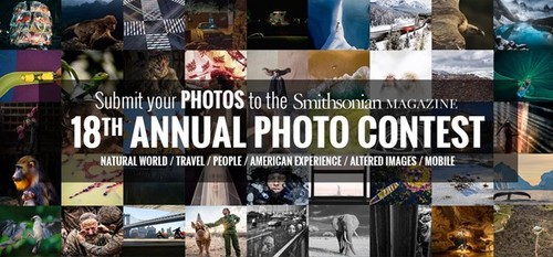 Latest net Photos, Smithsonian Photo Contest