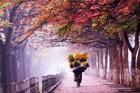 越南の秋