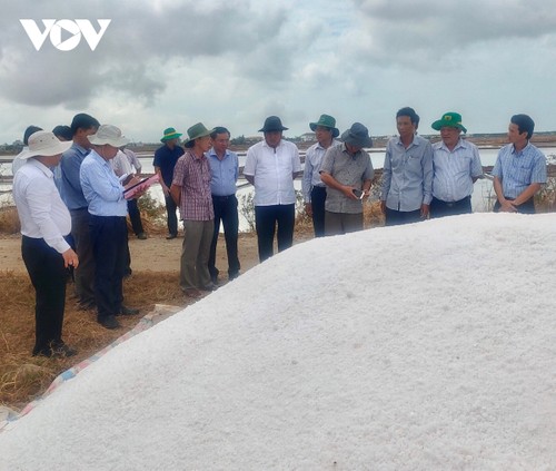 バクリエウ省 塩作り職業を発展