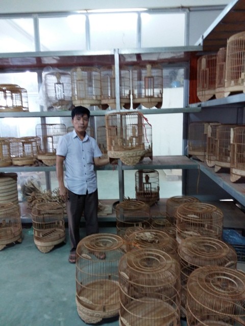 Chim Cảnh Việt Nam | Ho Chi Minh City Chim Cảnh Việt Nam | Ho Chi Minh City