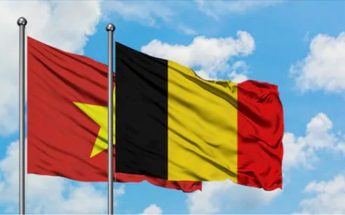 Hợp tác Việt Nam-Bỉ: Việt Nam và Bỉ đang tăng cường hợp tác trong nhiều lĩnh vực, từ kinh tế đến giáo dục và văn hóa. Mối quan hệ này đang mở ra nhiều cơ hội hợp tác cho các doanh nghiệp của hai nước. Xem hình ảnh về hợp tác Việt Nam-Bỉ để cảm nhận được sức mạnh của mối quan hệ này.