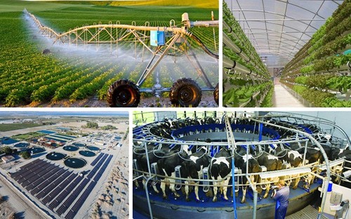  Ingeniería, Agricultura y Agua: Riego por Goteo