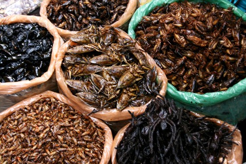 ความดึงดูดใจของอาหารริมทางในประเทศกัมพูชา