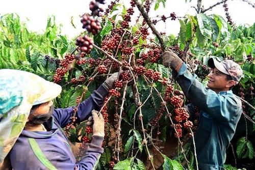 Zulutrade vietnam