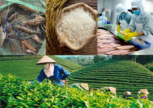 Vietnam to meet 2020 target of 40 billion USD from agricultural export