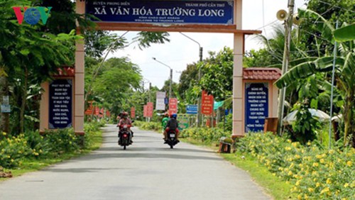 Vietnam por renovar zonas rurales con reestructuración agrícola - ảnh 1