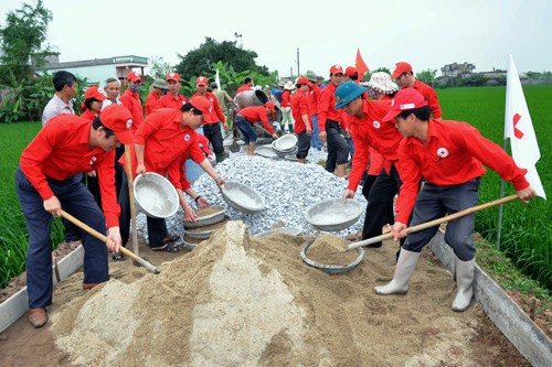 Vietnam por renovar zonas rurales con reestructuración agrícola - ảnh 2