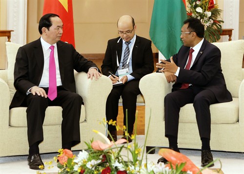 Vietnam y Madagascar promueven cooperación multisectorial - ảnh 1