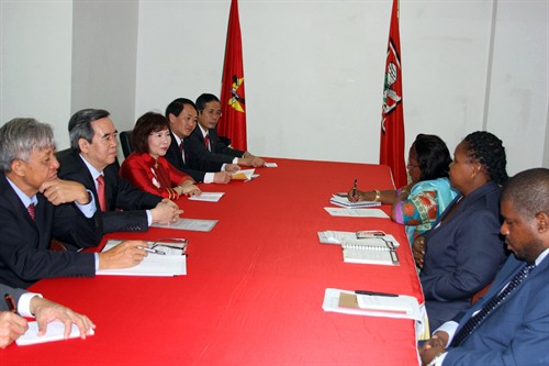 Vietnam y Mozambique fortalecen colaboración multisectorial - ảnh 1