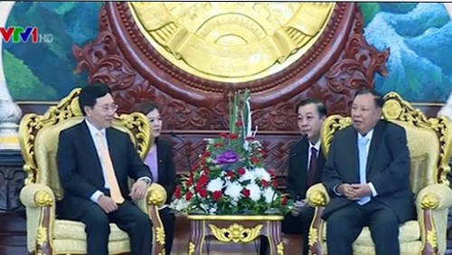 Actividades del viceprimer ministro y canciller de Vietnam en Laos - ảnh 1