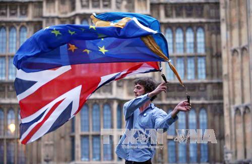 Persisten tensiones entre el Reino Unido y la Unión Europea alrededor del Brexit - ảnh 1