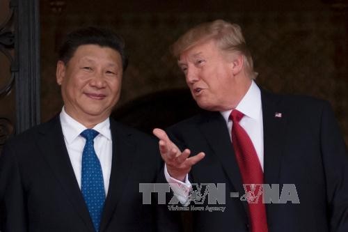 China buscan consolidar la confianza estratégica con Estados Unidos - ảnh 1