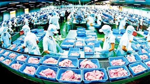 Vietnam aumenta el control del proceso de exportación de siluros a Estados Unidos - ảnh 1