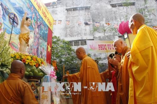 Localidades vietnamitas conmemoran el 2562 aniversario del nacimiento y la iluminación de Buda - ảnh 1
