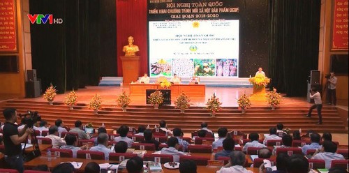 Vietnam fortalece la producción agrícola para lograr mayor valor agregado - ảnh 1