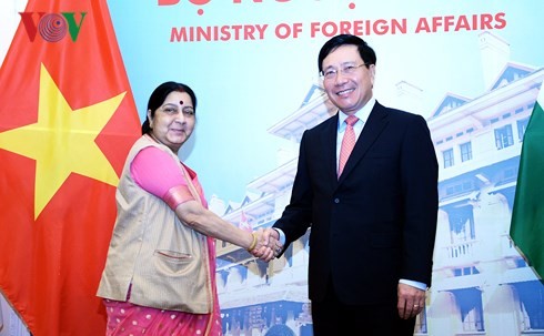 Vietnam y la India refuerza la cooperación multisectorial - ảnh 2