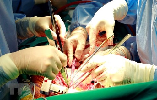 Vietnam sigue progresando en el trasplante de órganos - ảnh 2