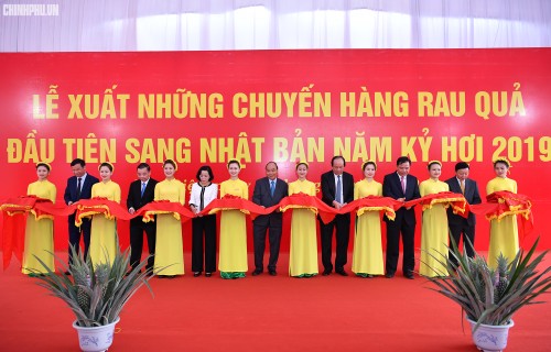 Primer ministro de Vietnam ensalza el modelo de producción agrícola de Doveco - ảnh 1