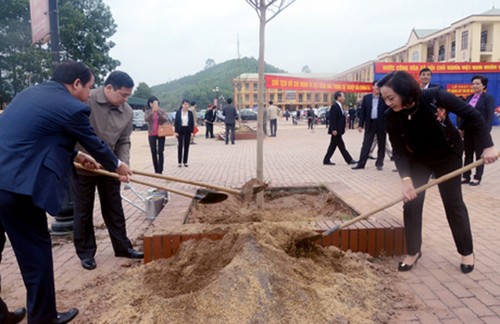 Provincia de Yen Bai revitaliza el medio ambiente con el Festival de Siembra de Árboles 2019 - ảnh 2